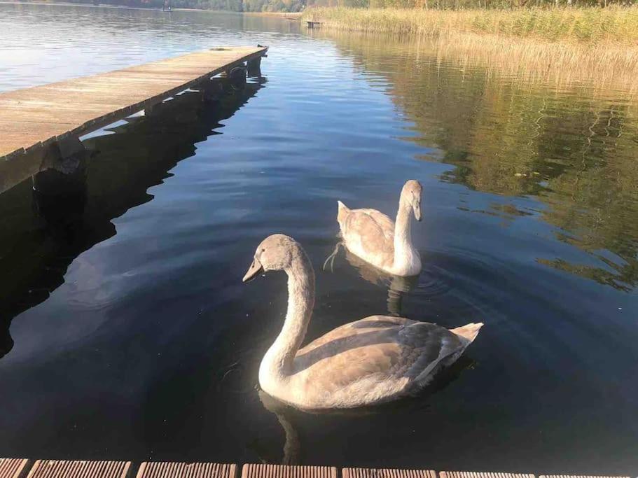 Seeblick Eins Im Waldschloesschen Wendisch Rietz Exterior foto